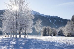 2026 Şubat ayına özel hoş geldin mesajları, güzel sözler ve