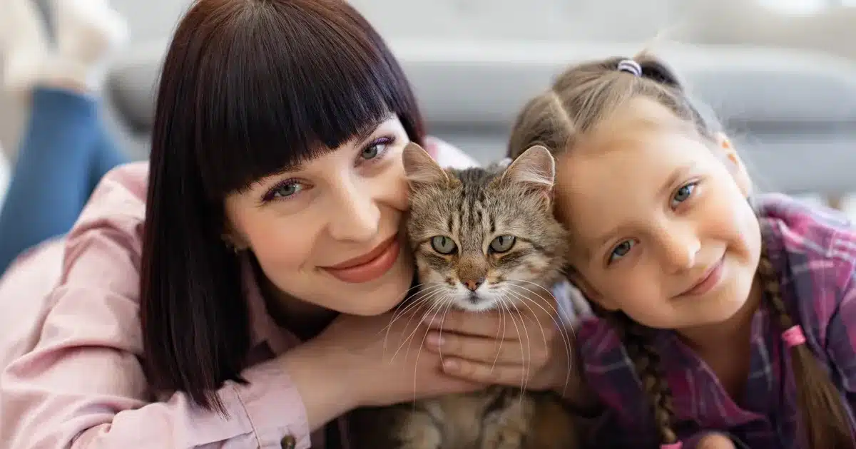 Kedilerle Yaşamanın İnsan Sağlığına Katkıları ve Sorumlu Hayvan Sahipliği