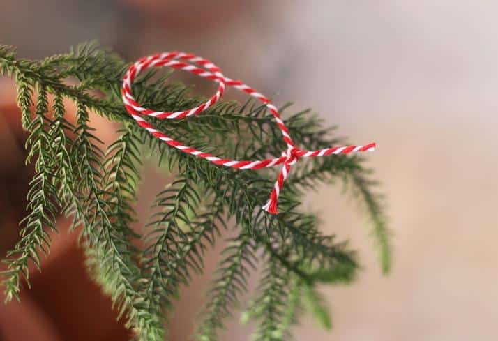 Marteniçka Ne Zaman Takılır ve Çıkarılır? Marteniçka Geleneğinin Anlamı ve Hikayesi