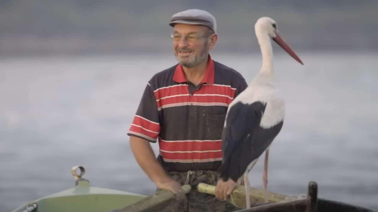 Nazlı Leylek Eskikaraağaç’a Döndü