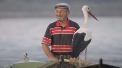 Nazlı leylek uzun bir aradan sonra Eskikaraağaç’a döndü, şimdi tüm