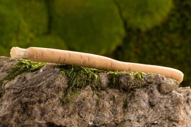 Misvak Kullanımı Orucu Geçersiz Kılar mı?