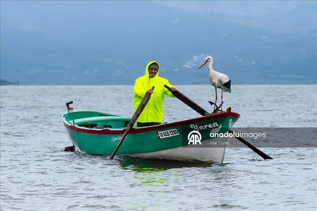 Yaren Leylek Canlı İzle