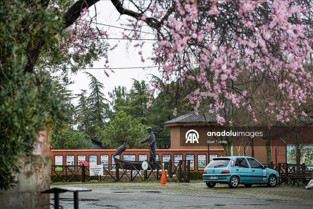 Yaren Leylek 15. Yılında Köyüne Döndü