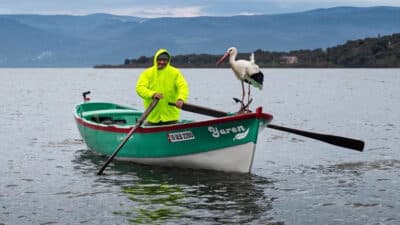 Yaren Leylek, 15. yılında yeniden köyüne döndü. Dostluğu ve sadakatiyle