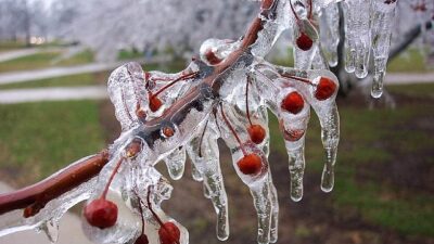 Çiftçiler, 2026 sezonunda olası zirai don tehlikesine karşı önlem alıyor.