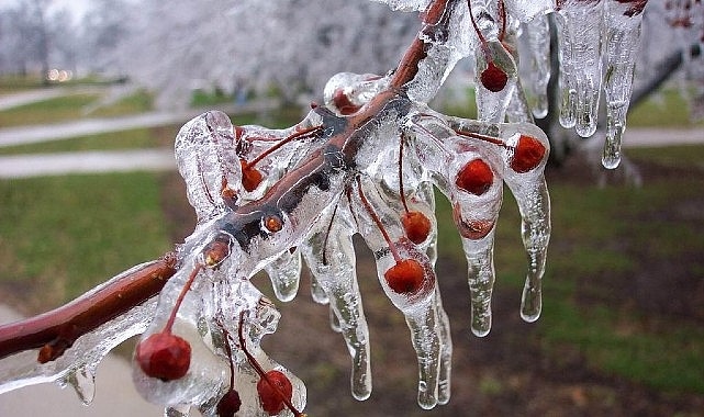 Çiftçiler, 2026 sezonunda olası zirai don tehlikesine karşı önlem alıyor.