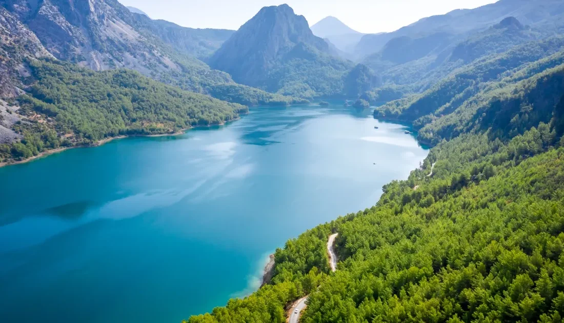 Ormanlar ve su kaynaklarının küresel su güvencesindeki kritik rolünü ve