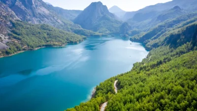 Ormanlar ve su kaynaklarının küresel su güvencesindeki kritik rolünü ve