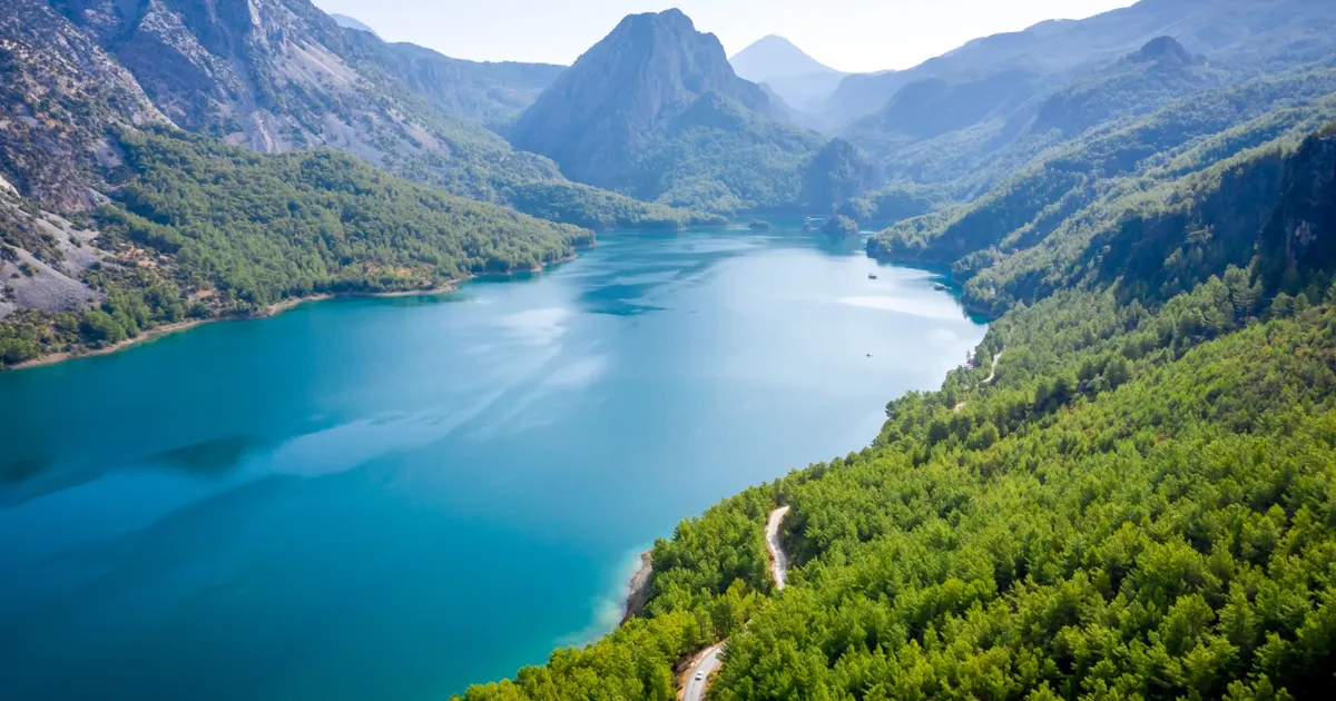 Ormanlar ve su kaynaklarının küresel su güvencesindeki kritik rolünü ve
