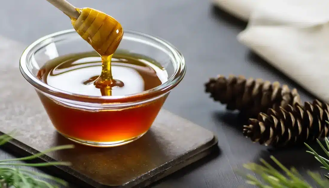 Türkiye çam balı, artan kalite ve ihracat stratejileriyle uluslararası pazarda