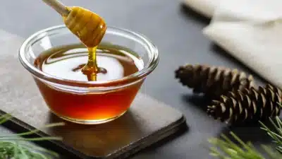 Türkiye çam balı, artan kalite ve ihracat stratejileriyle uluslararası pazarda