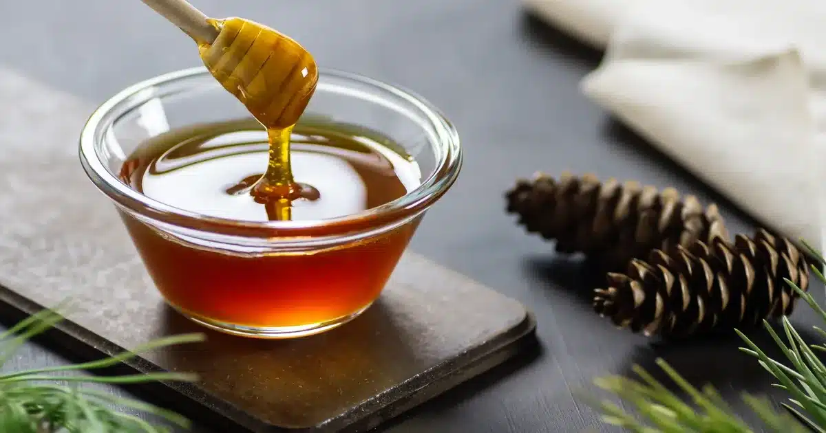 Türkiye çam balı, artan kalite ve ihracat stratejileriyle uluslararası pazarda