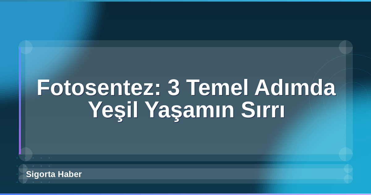 Fotosentez: 3 Temel Adımda Yeşil Yaşamın Sırrı