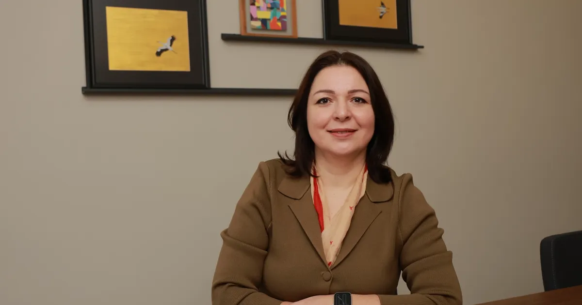 Mikro Mimarlıkta Yeni Dönem: Küçülen Alanlarda Verimli Yaşam Kurguları