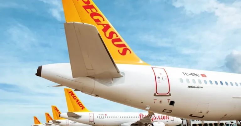 Pegasus Hava Yolları ve RTB House Almanya’da Dijital Pazarlama Başarısına İmza Attı