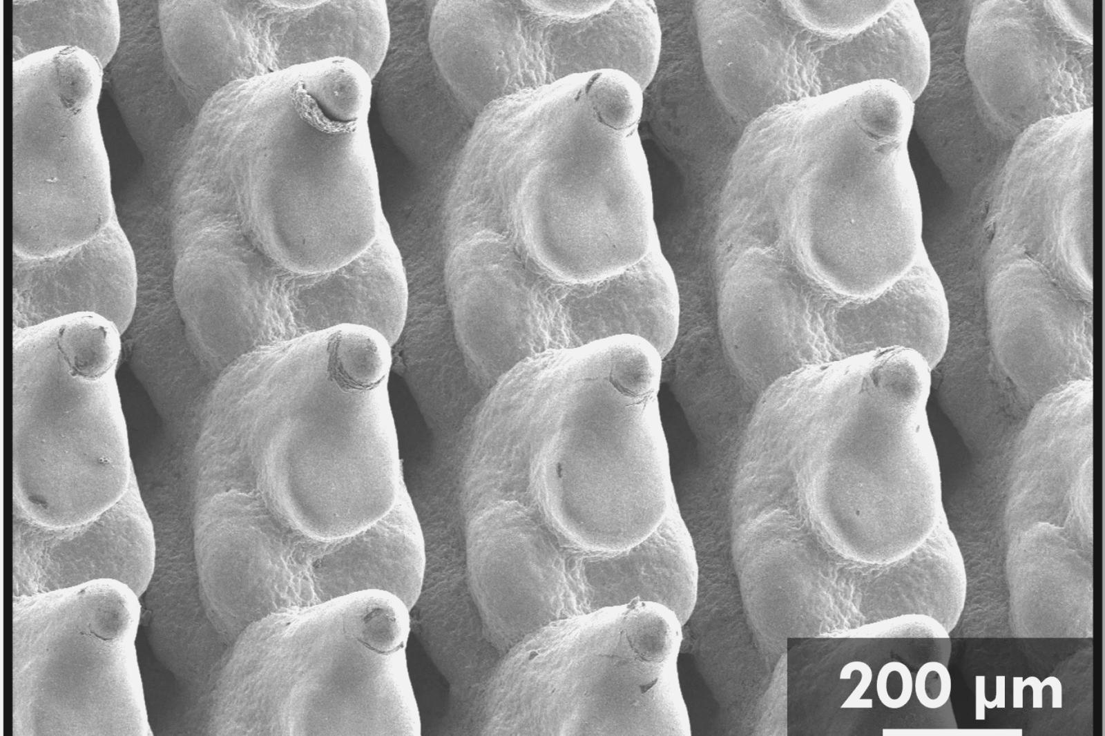 3D Baskılı Bakır Soğutma Teknolojisi, Yapay Zekâ Veri Merkezlerinde Enerji Tüketimini Kökten Azaltabilir 2 Artan işlem gücü, büyüyen ısı sorunu