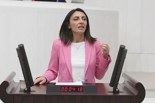 Nurhayat Altaca Kayışoğlu’nun hukuk, siyaset ve TBMM görevleri