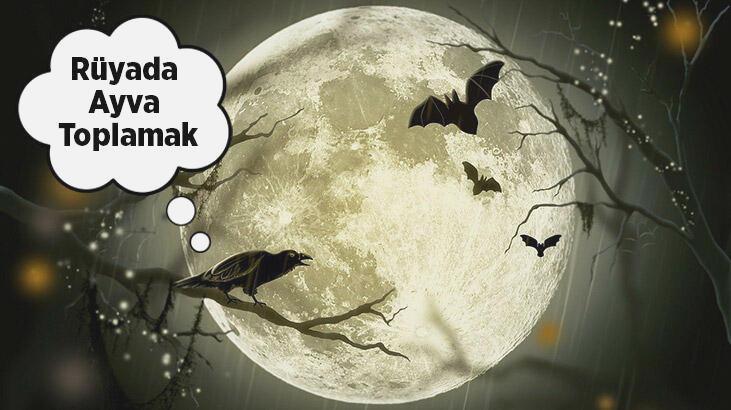 Rüyada ayva toplamak ne anlama gelir?