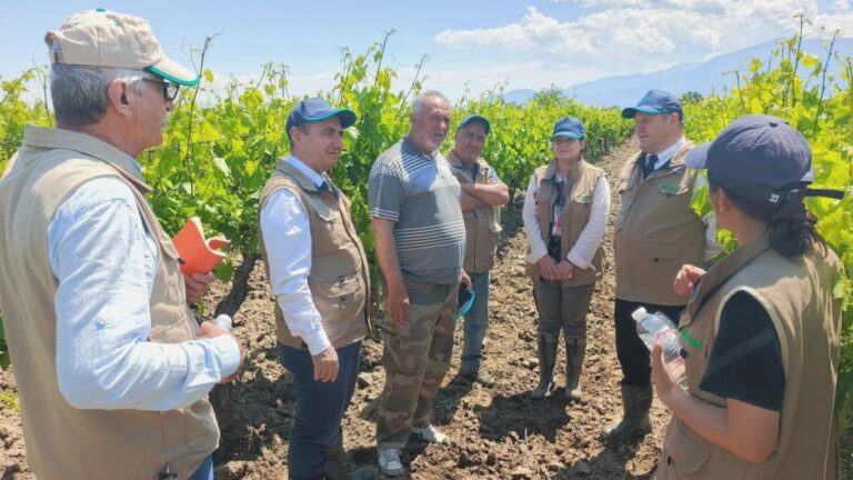 TARSİM Heyeti, Manisa’da Dolu Hasarı Görülen Arazilerde İncelemelerde Bulundu