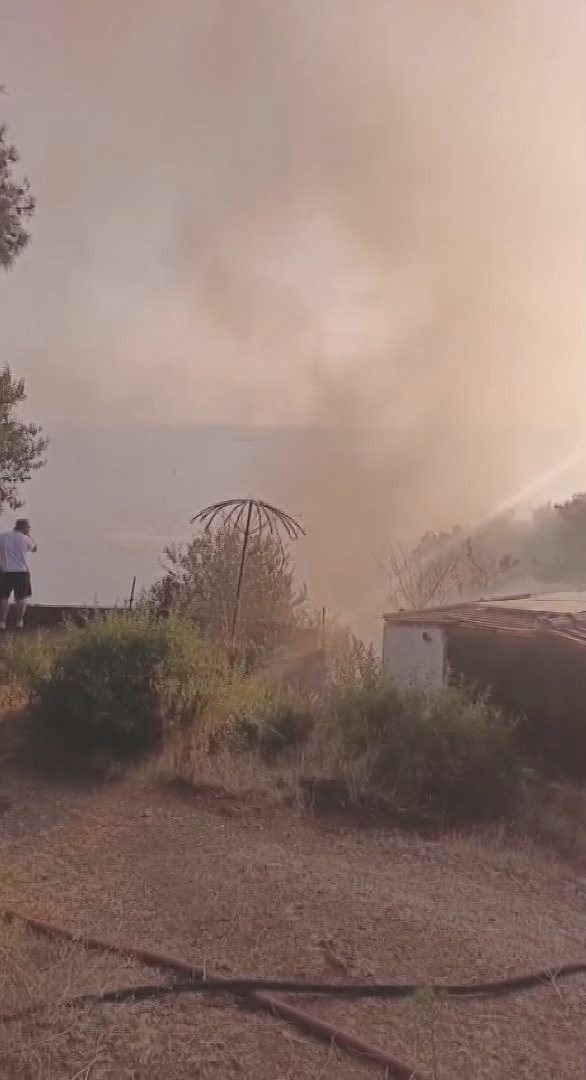 Büyükada Viranbağ Plajı Yangınında Son Durum 3 Büyükada Viranbağ Plajı Yangınında Son Durum