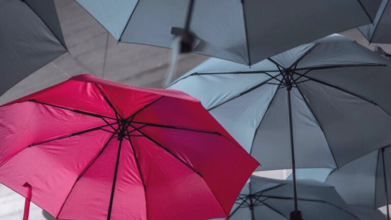 Japan Post Insurance ile SCOR hayat sigortası riskleri için ortak yatırım aracı kuracak