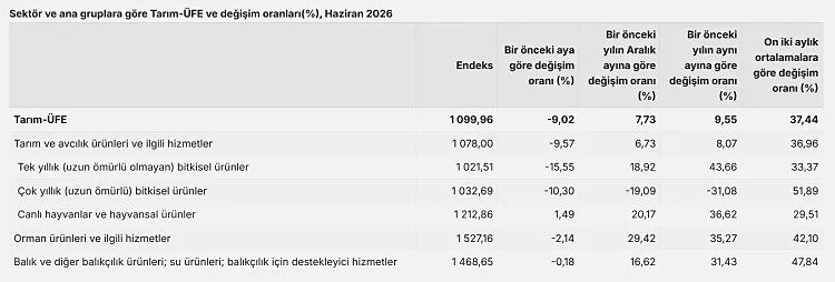 tarim ufe yillik yuzde 955 artti aylik bazda geriledi 0