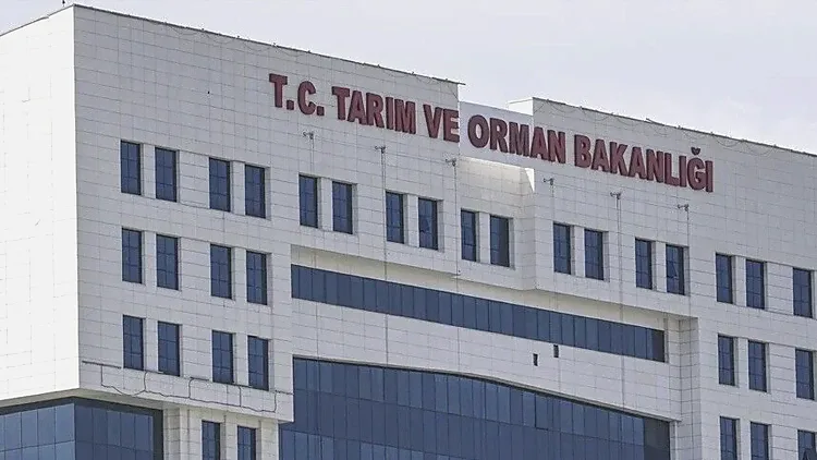 TARIM VE ORMAN BAKANLIĞI PERSONEL ALIMI 2026 || Tarım ve Orman Bakanlığı 1874 personel alımı ne zaman yapılacak, şartları neler, kadro dağılımı nasıl? 3 tarim ve orman bakanligi personel alimi 2026 tarim ve orman bakanligi 1874 personel g1wn2ZtZ