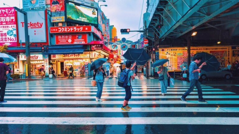 Japon sigorta şirketlerinde gelir ve kâr artışı