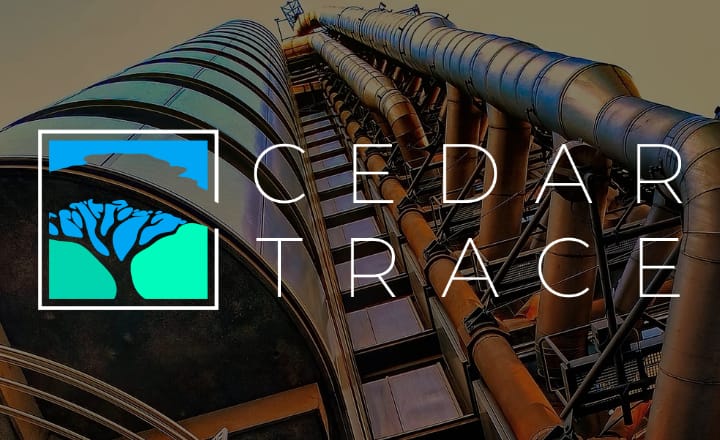 Cedar Trace, 2027’de 300 milyon dolarlık Lloyd’s sendikası kurmayı planlıyor