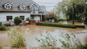 Neptune Flood’un 2026 Üçüncü Çeyrek Geliri Yüzde 34 Artarak 59,6 Milyon Dolara Çıktı