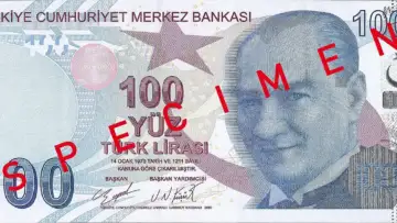 100 Türk lirası banknotunun ön yüzü; banka mevduatı ve unutulan hesapları temsilen