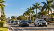 Florida'da palmiye ağaçlı geniş bir yolda seyreden otomobiller; USAA motorlu araç sigortası prim indirimi haberi