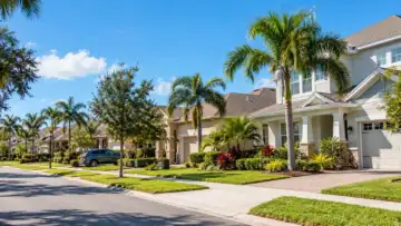 Florida'da güneşli bir mahallede bahçeli müstakil evler, konut sigortası piyasası temsili