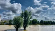 Almanya Ulm'da taşan nehir ve su altında kalan kıyı ağaçları, Avrupa sel sigortası riski
