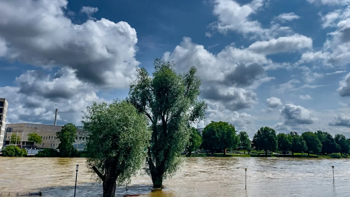Almanya Ulm'da taşan nehir ve su altında kalan kıyı ağaçları, Avrupa sel sigortası riski