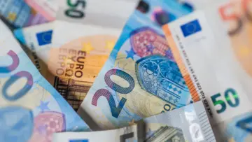 Avrupa sigorta şirketlerinin menkul kıymet yatırımlarını temsil eden euro banknotları