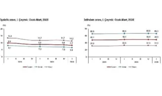 2025 Yılı I. Çeyrek Türkiye İşgücü İstatistikleri