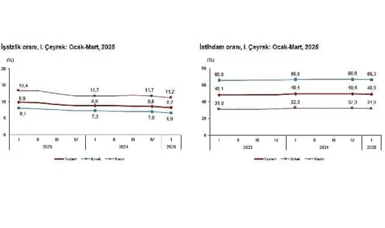 2025 Yılı I. Çeyrek Türkiye İşgücü İstatistikleri
