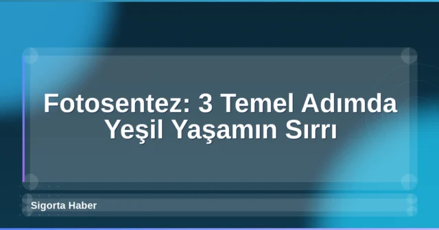 Fotosentez: 3 Temel Adımda Yeşil Yaşamın Sırrı