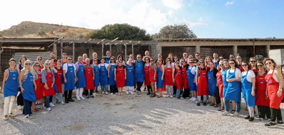 AXA Türkiye Recognizes Automotive Stars with an Inspiring Experience in Northern Cyprus