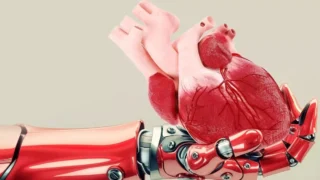 BIOPREVENT Yapay Zekâsı, Organ Nakli Sonrası Riskleri Aylar Öncesinden Tahmin Ediyor