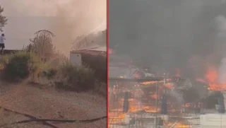 Büyükada Viranbağ Plajı Yangınında Son Durum