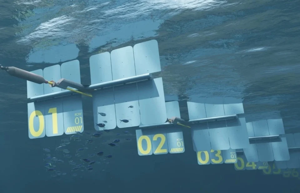 Dalgaları Elektriğe ve İçme Suyuna Dönüştüren Yenilikçi Çözüm Tanıtıldı