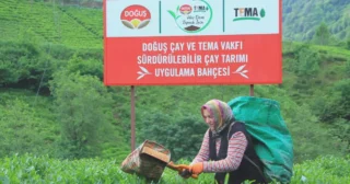 Doğuş Çay 2026 ilk hasat sezonuna sürdürülebilirlik ve kalite odağıyla başladı
