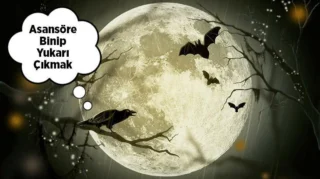 Dream Interpretation: Ascending in an Elevator
