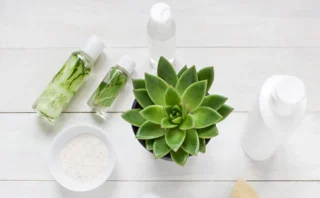 Effective Use of Depilatory Creams for Hair Removal