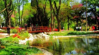 Emirgan Nerede? Emirgan’a Nasıl Gidilir? (2025)
