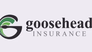Goosehead Insurance 2026 ikinci çeyrekte gelir ve kârlılığını artırdı