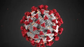 HPV Nedir? HPV’nin Gizemi: Vücutta Belirtileri ve Yayılımını Artıran Faktörler
